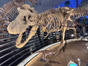 福井県立恐竜博物館に投稿された画像（2026/3/21）