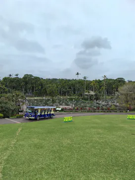 美らヤシパークオキナワ・東南植物楽園に投稿された画像（2026/3/21）