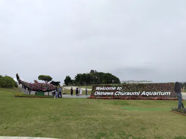 沖縄美ら海水族館に投稿された画像（2026/3/21）