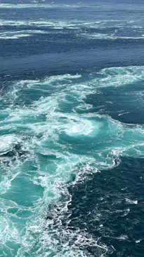 徳島県立 渦の道に投稿された画像（2026/3/21）