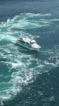 徳島県立 渦の道に投稿された画像（2026/3/21）