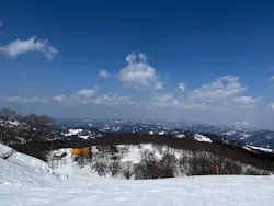 キューピットバレイに投稿された画像（2026/3/21）