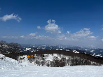 キューピットバレイに投稿された画像（2026/3/21）