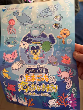 新江ノ島水族館に投稿された画像（2026/3/21）