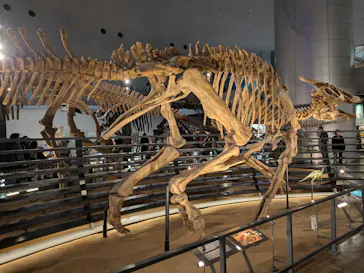 福井県立恐竜博物館に投稿された画像（2026/3/21）