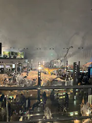 福井県立恐竜博物館に投稿された画像（2026/3/21）