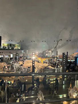 福井県立恐竜博物館に投稿された画像（2026/3/21）