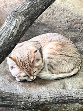 こども動物自然公園（埼玉県公園緑地協会）に投稿された画像（2026/3/21）
