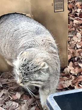 こども動物自然公園（埼玉県公園緑地協会）に投稿された画像（2026/3/21）