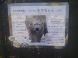 天王寺動物園に投稿された画像（2026/3/21）