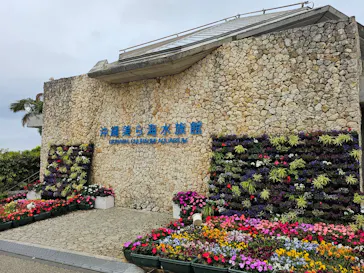 沖縄美ら海水族館に投稿された画像（2026/3/21）