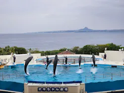 沖縄美ら海水族館に投稿された画像（2026/3/21）