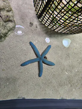 沖縄美ら海水族館に投稿された画像（2026/3/21）