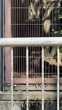 名古屋市東山動植物園に投稿された画像（2026/3/21）