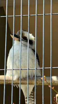 名古屋市東山動植物園に投稿された画像（2026/3/21）