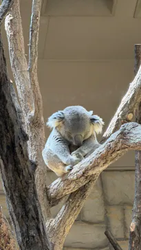 名古屋市東山動植物園に投稿された画像（2026/3/21）