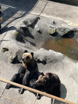 阿蘇カドリー・ドミニオンに投稿された画像（2026/3/21）