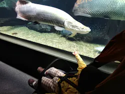 世界淡水魚園水族館　アクア・トトぎふに投稿された画像（2026/3/21）