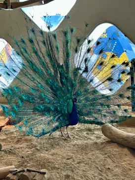 NIFREL（ニフレル）に投稿された画像（2026/3/21）