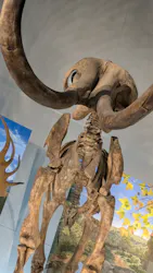 福井県立恐竜博物館に投稿された画像（2026/3/21）