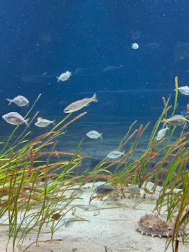 マリンワールド海の中道に投稿された画像（2026/3/21）