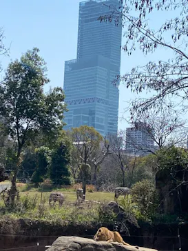 天王寺動物園に投稿された画像（2026/3/21）