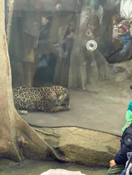 那須どうぶつ王国に投稿された画像（2026/3/21）