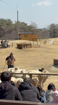 那須どうぶつ王国に投稿された画像（2026/3/21）
