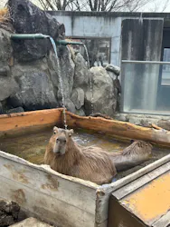 那須どうぶつ王国に投稿された画像（2026/3/21）