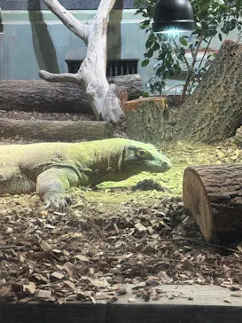 名古屋市東山動植物園に投稿された画像（2026/3/21）