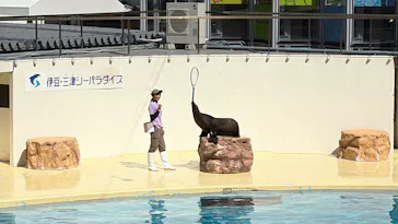 伊豆・三津シーパラダイスに投稿された画像（2026/3/21）