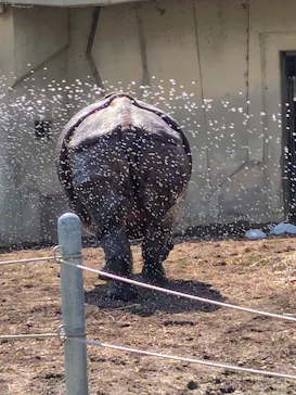 名古屋市東山動植物園に投稿された画像（2026/3/21）