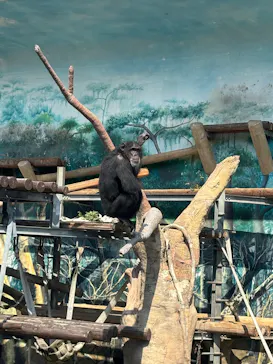 天王寺動物園に投稿された画像（2026/3/21）