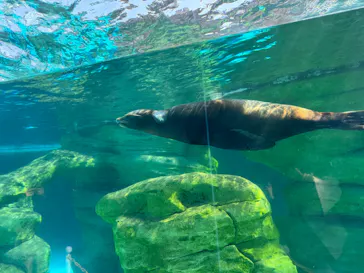 天王寺動物園に投稿された画像（2026/3/21）