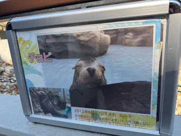 天王寺動物園に投稿された画像（2026/3/21）