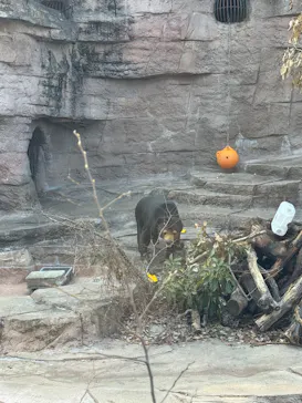 天王寺動物園に投稿された画像（2026/3/21）