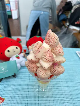 OSAKA Strawberry Festivalに投稿された画像（2026/3/21）
