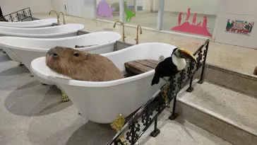 アニタッチ 東京ドームシティに投稿された画像（2026/3/21）