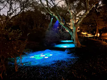 六義園に投稿された画像（2026/3/21）