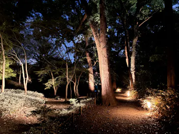 六義園に投稿された画像（2026/3/21）