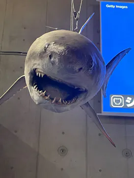 特別展「超危険生物展　科学で挑む生き物の本気」に投稿された画像（2026/3/21）