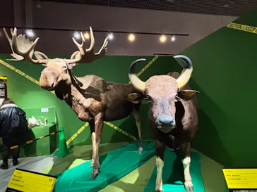 特別展「超危険生物展　科学で挑む生き物の本気」に投稿された画像（2026/3/21）
