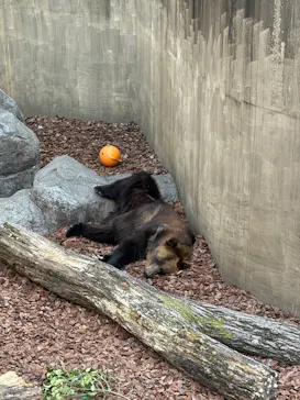 恩賜上野動物園に投稿された画像（2026/3/21）