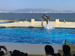 マリンワールド海の中道に投稿された画像（2026/3/21）