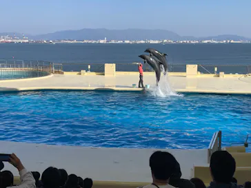マリンワールド海の中道に投稿された画像（2026/3/21）