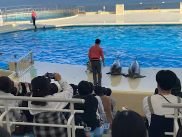 マリンワールド海の中道に投稿された画像（2026/3/21）