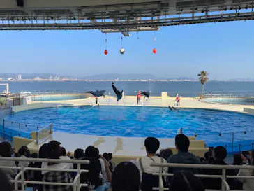 マリンワールド海の中道に投稿された画像（2026/3/21）