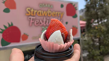 OSAKA Strawberry Festivalに投稿された画像（2026/3/21）