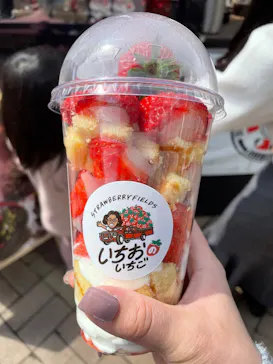 OSAKA Strawberry Festivalに投稿された画像（2026/3/21）