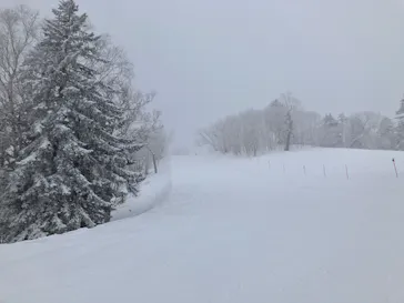 星野リゾート　トマムスキー場に投稿された画像（2026/3/21）